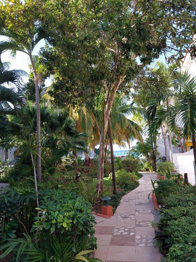 Cozy Villa Escape Runaway Bay Ngoại thất bức ảnh